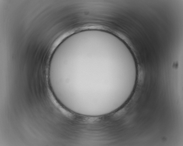 X0000112971282200908270934