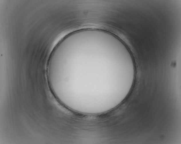 X0000112971283200908270934