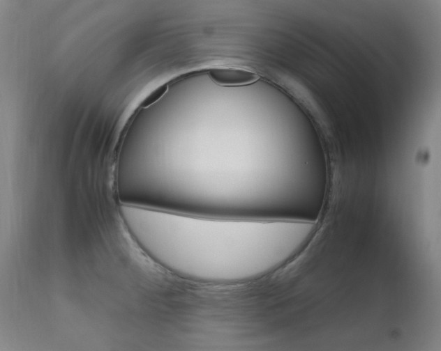 X0000112971284200908270934