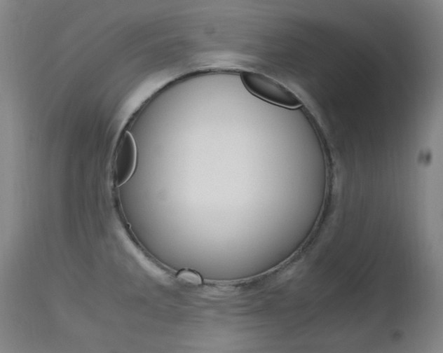 X0000112971285200908270934