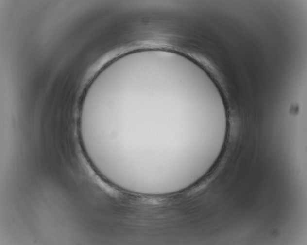 X0000112971286200908270934