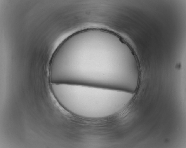 X0000112971287200908270934