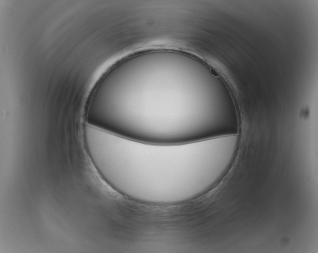 X0000112971288200908270934
