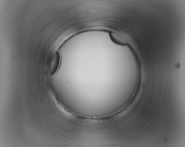 X0000112971289200908270934