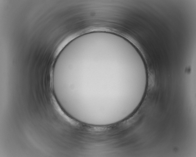 X0000112971290200908270934