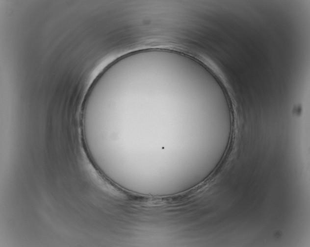 X0000112971291200908270934