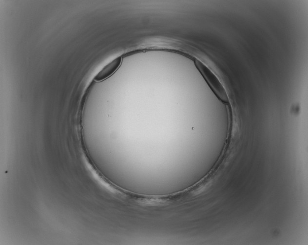 X0000112971293200908270934