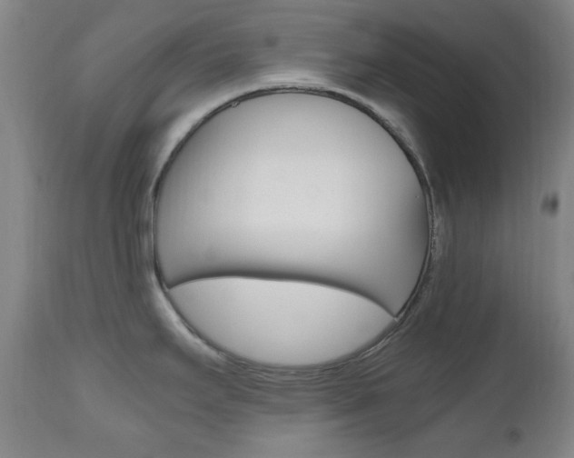 X0000112971295200908270934