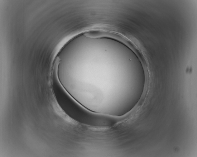 X0000112971296200908270934