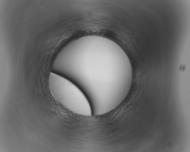 X0000112971297200908270933