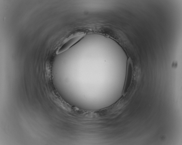 X0000112971298200908270933