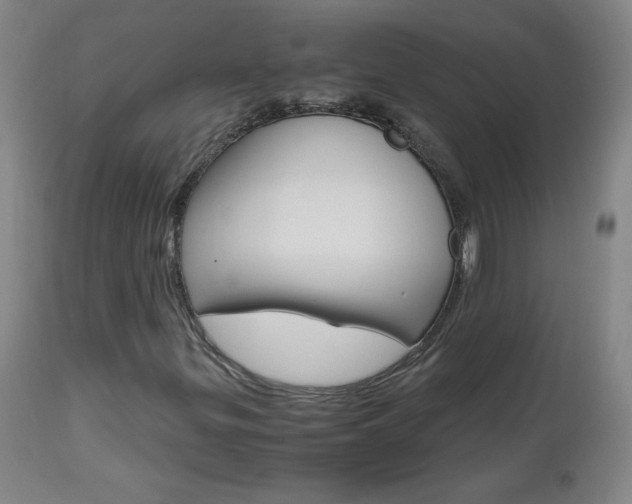 X0000112971299200908270933
