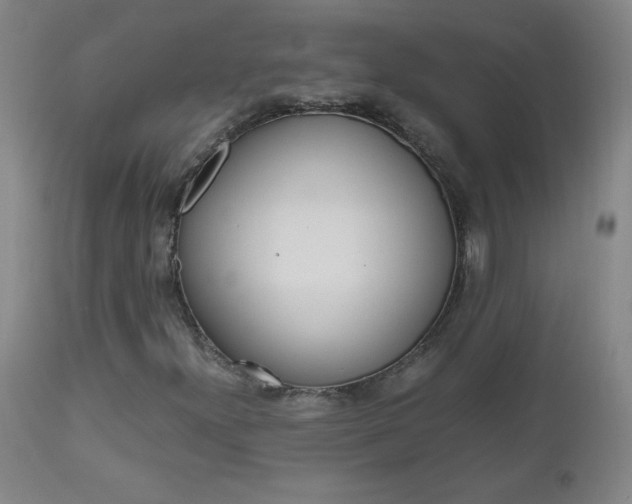 X0000112971300200908270933