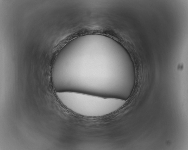 X0000112971301200908270933