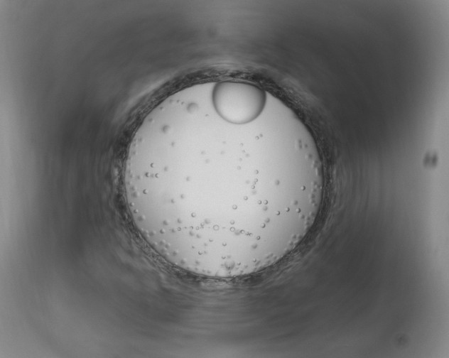 X0000112971302200908270933