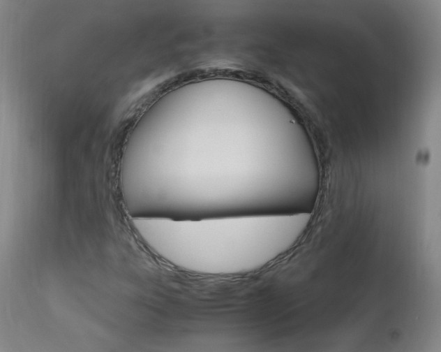 X0000112971303200908270933