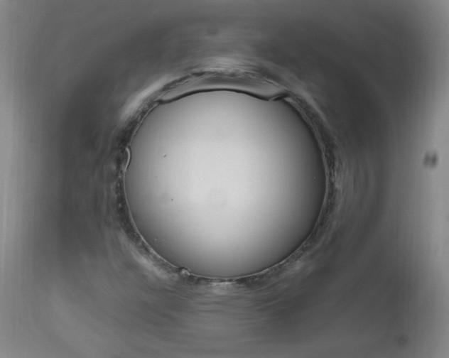X0000112971304200908270933
