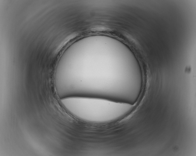 X0000112971305200908270933
