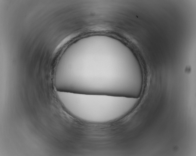 X0000112971306200908270933