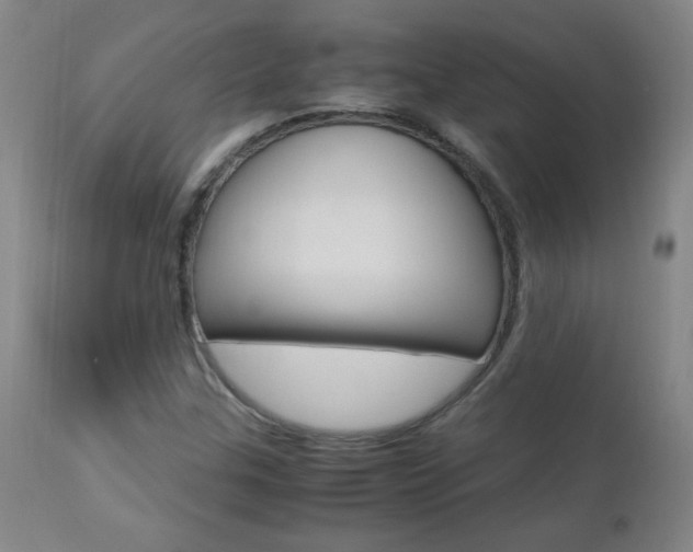 X0000112971307200908270933