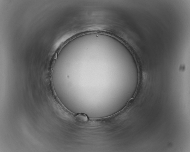 X0000112971308200908270933