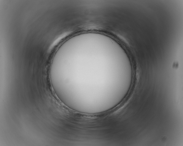 X0000112971309200908270933