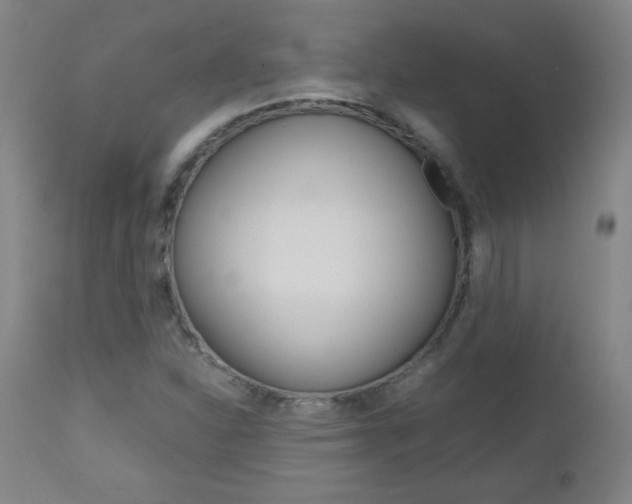 X0000112971310200908270933