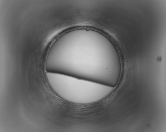 X0000112971311200908270934