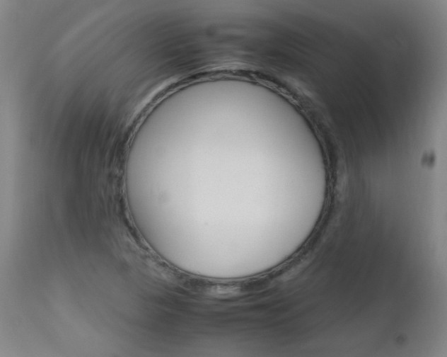 X0000112971313200908270934