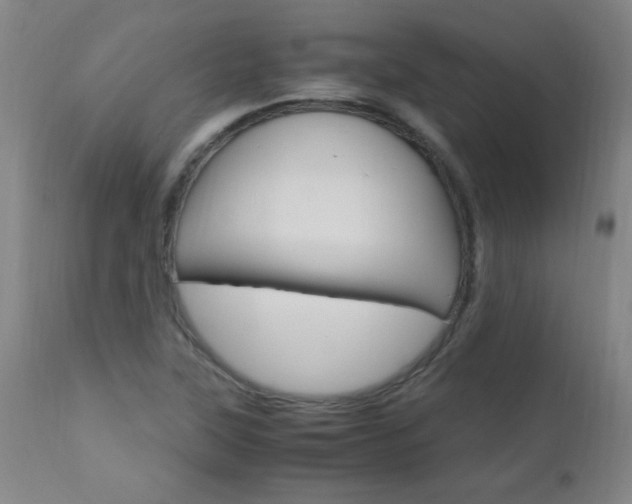 X0000112971315200908270934
