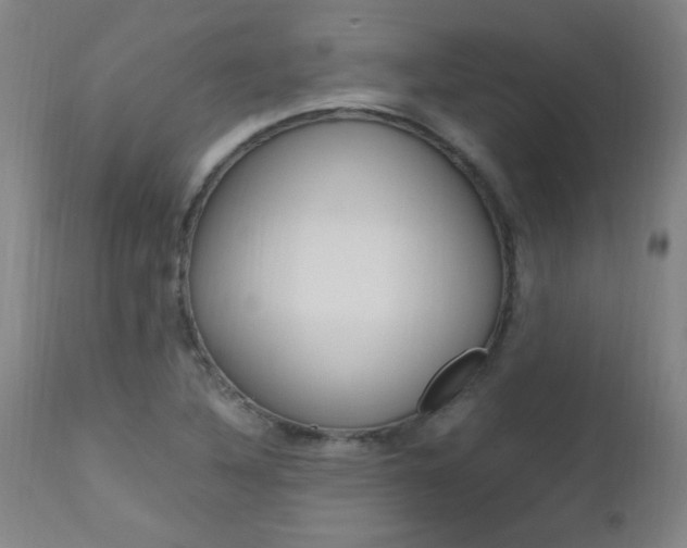 X0000112971316200908270934