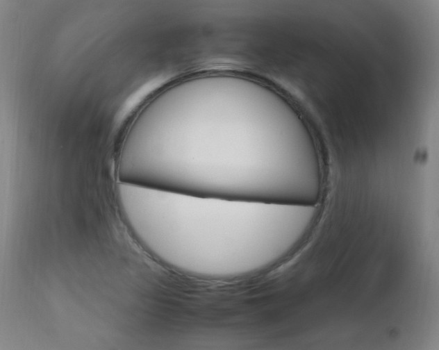 X0000112971317200908270934