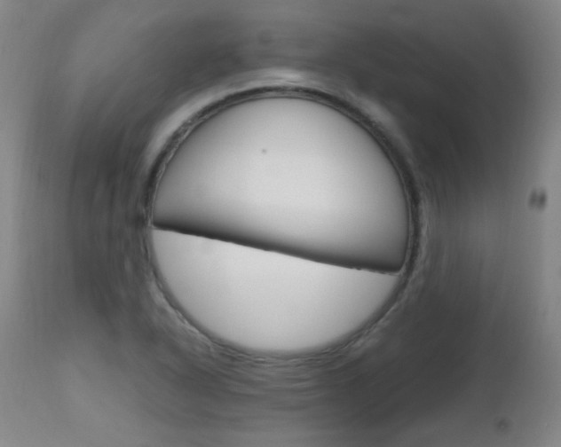 X0000112971318200908270934
