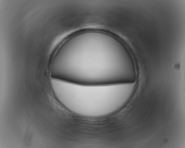 X0000112971319200908270934