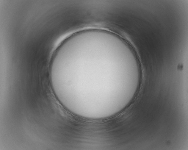 X0000112971320200908270934