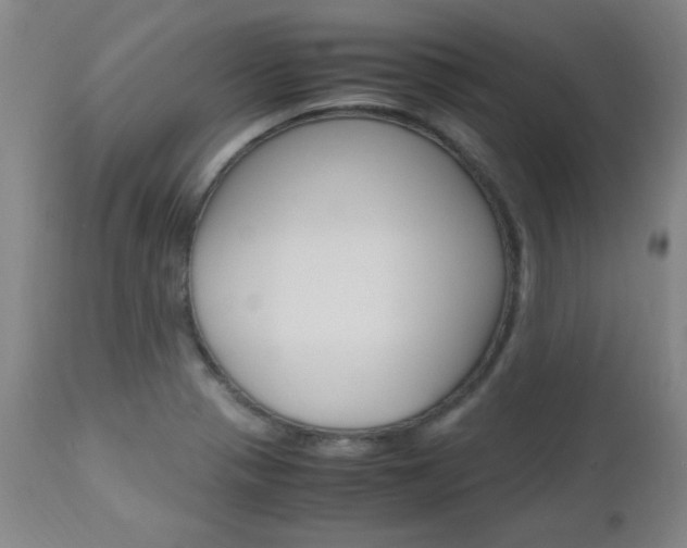 X0000112971321200908270934