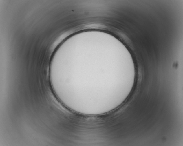 X0000112971322200908270934