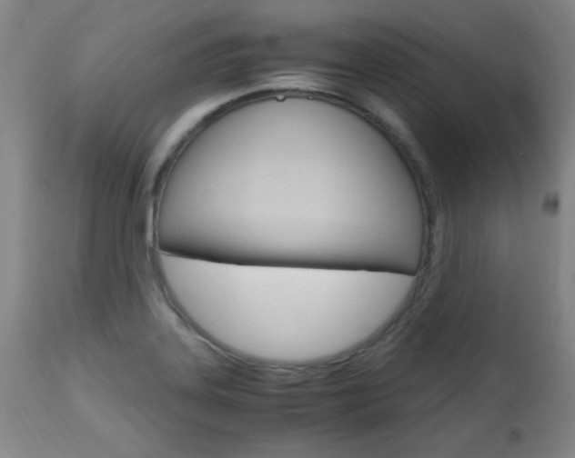 X0000112971323200908270934