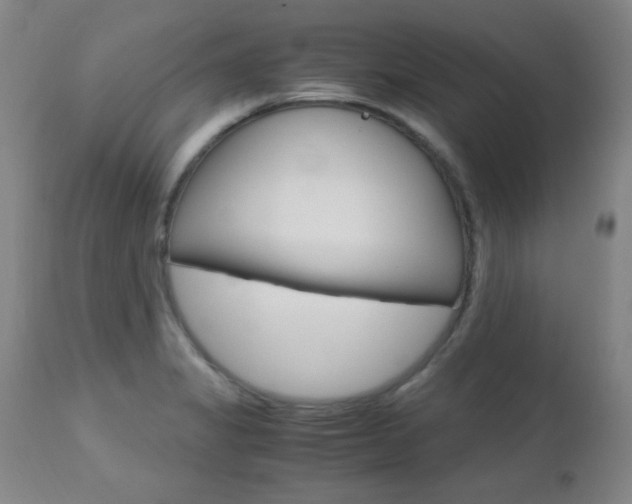 X0000112971325200908270934