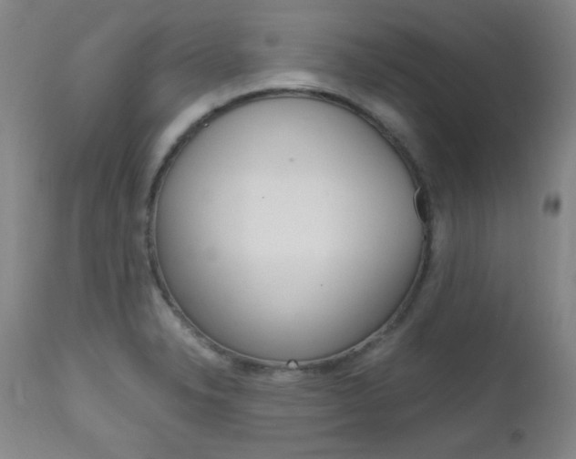X0000112971326200908270934