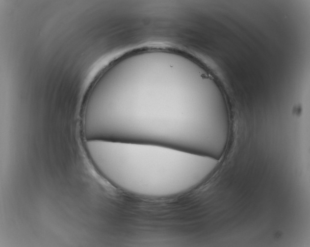 X0000112971327200908270934
