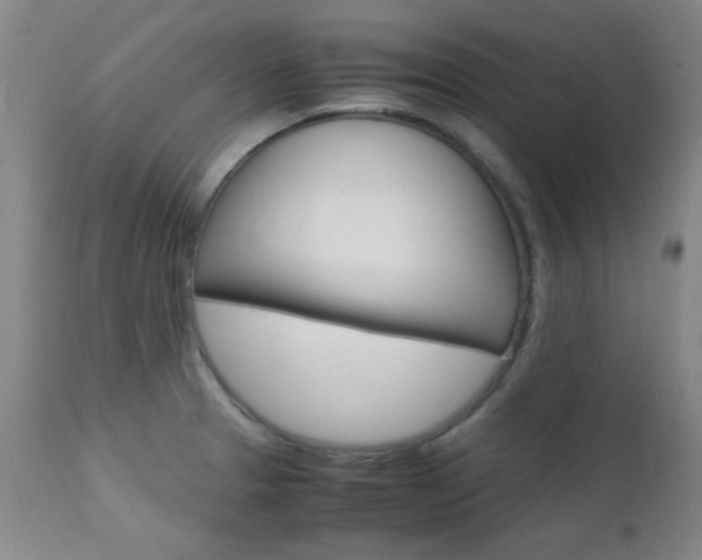 X0000112971329200908270934
