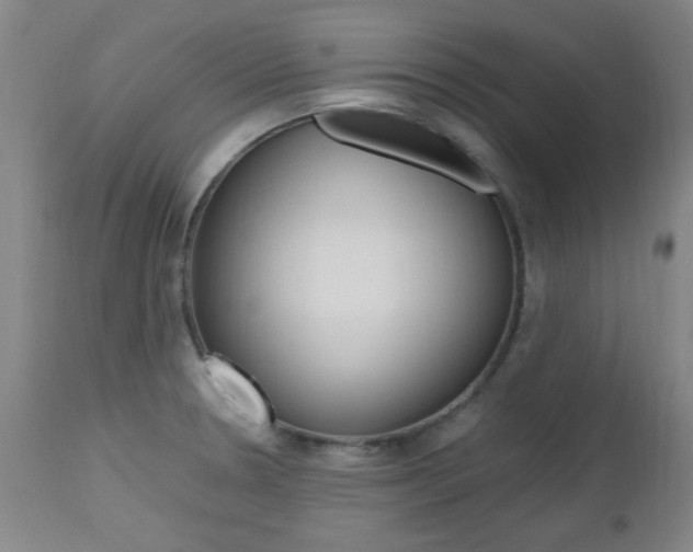 X0000112971330200908270934