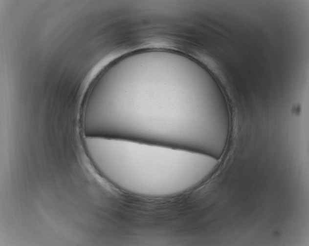 X0000112971331200908270934