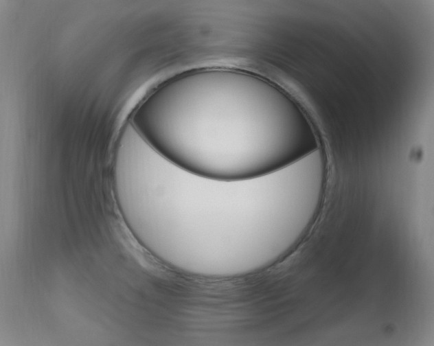 X0000112971332200908270934