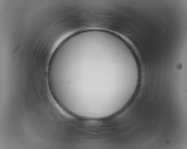 X0000112971333200908270934