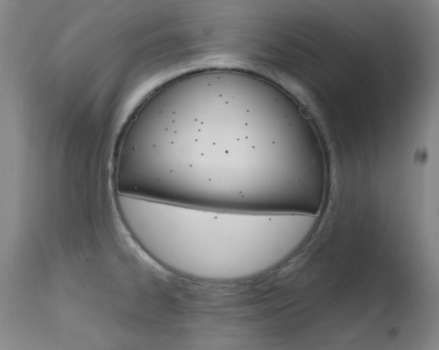 X0000112971334200908270934