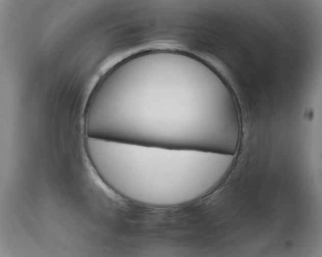 X0000112971335200908270934