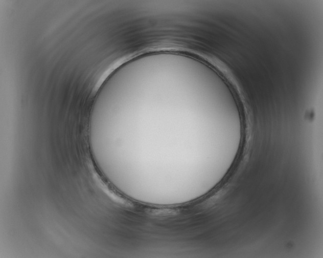 X0000112971337200908270934