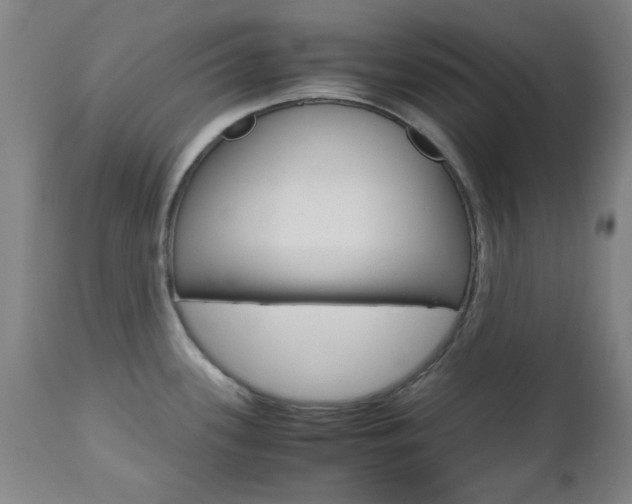 X0000112971339200908270934